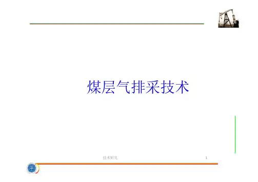 煤层气排采技术(谷风研究)