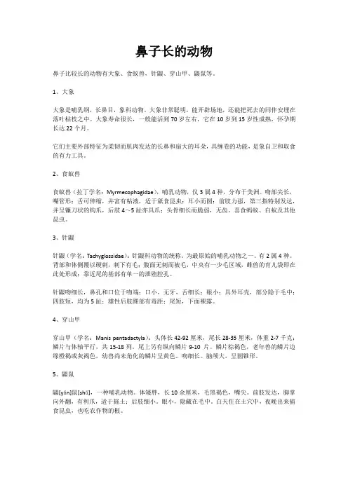 鼻子长的动物