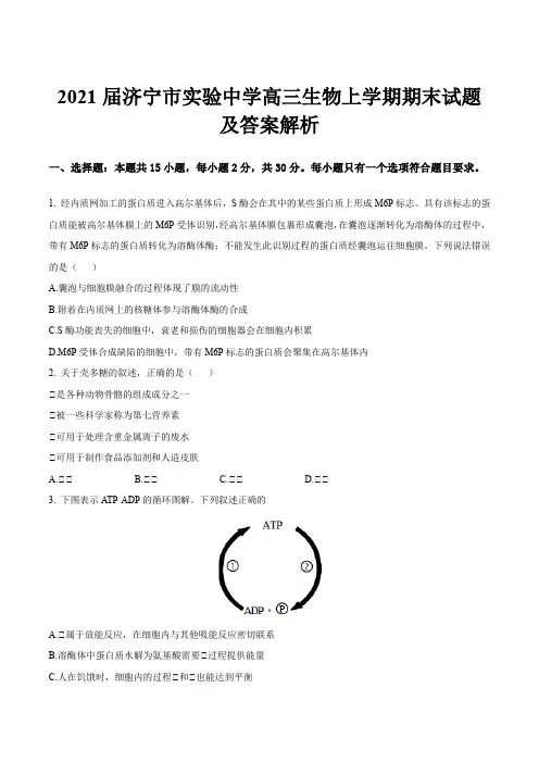 2021届济宁市实验中学高三生物上学期期末试题及答案解析