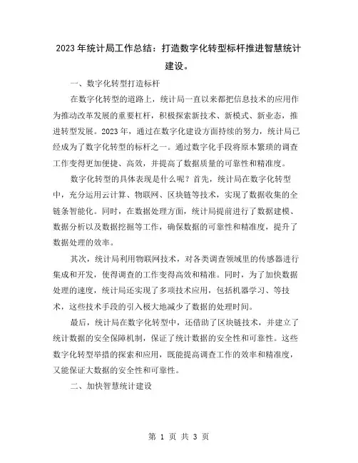 2023年统计局工作总结：打造数字化转型标杆推进智慧统计建设
