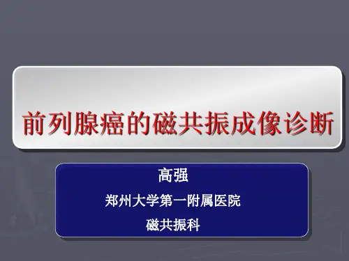 前列腺的MR检查