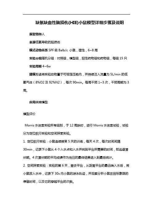 缺氧缺血性脑损伤(HIE)小鼠模型详细步骤及说明