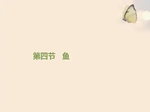 鱼PPT课件6 人教版