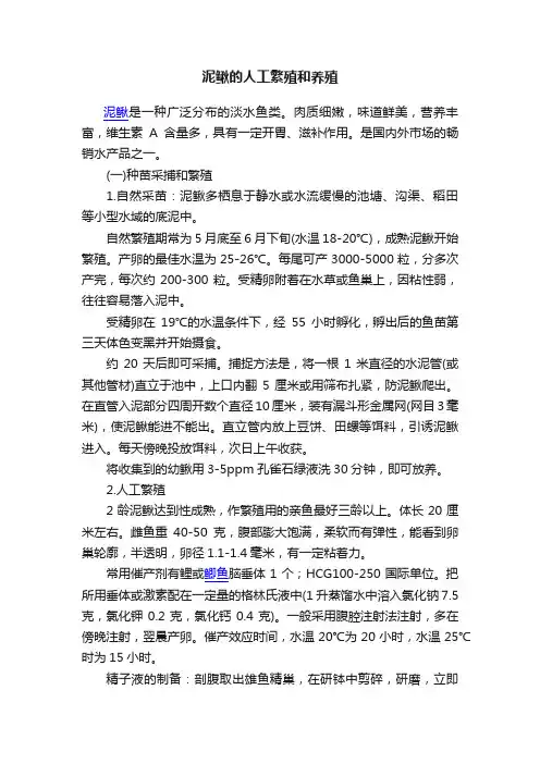 泥鳅的人工繁殖和养殖