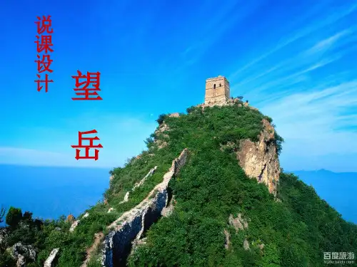 望岳说课稿