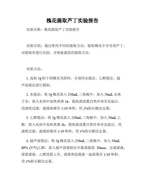 槐花提取芦丁实验报告