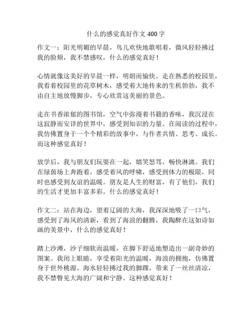 什么的感觉真好作文400字