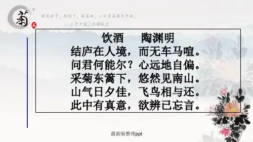 饮酒(公开课获奖)ppt课件