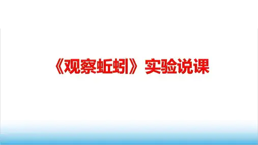 观察蚯蚓实验说课精品PPT课件