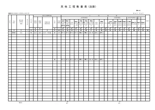 其他工程数量表(改路)