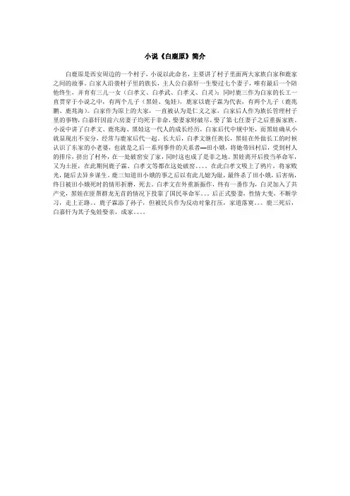 小说《白鹿原》简介