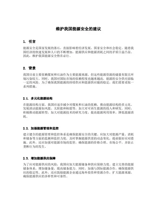 维护我国能源安全的建议