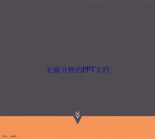 无痛分娩的文档讲课文档