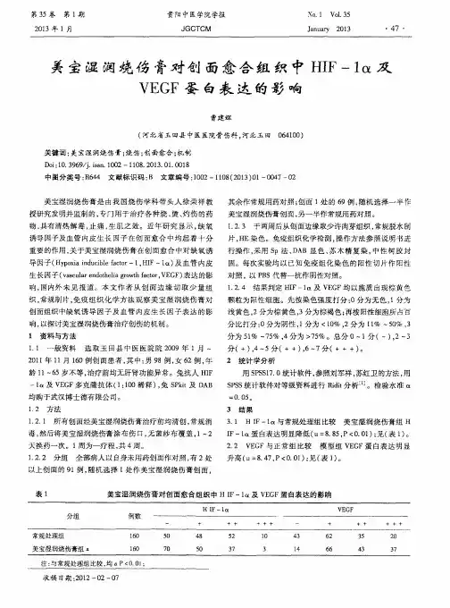 美宝湿润烧伤膏对创面愈合组织中HIF-1α及VEGF蛋白表达的影响