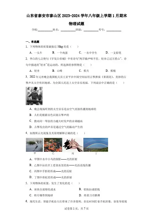 山东省泰安市泰山区2023-2024学年八年级上学期1月期末物理试题