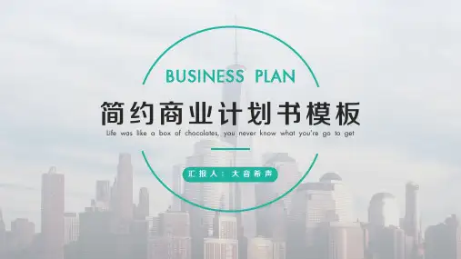 大气简约商业计划书创业路演通用ppt通用模板