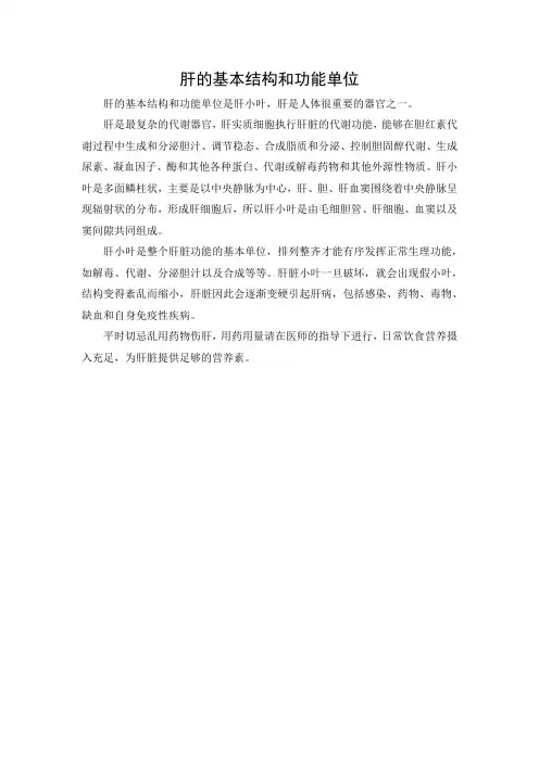 肝的基本结构和功能单位