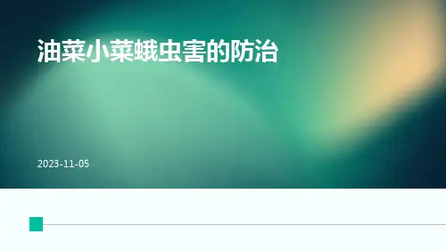 油菜小菜蛾虫害的防治