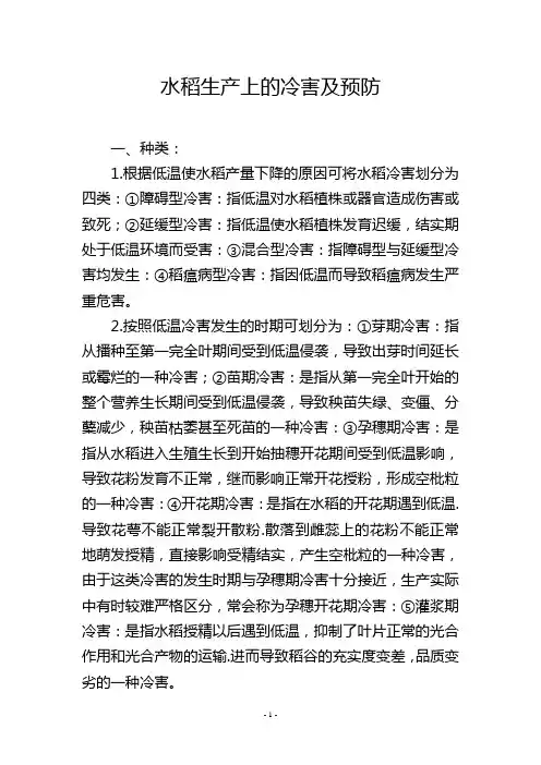 水稻生产上的冷害及预防