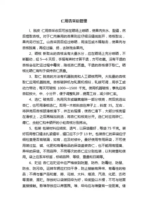 仁用杏采后管理