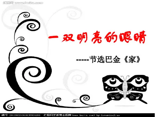 《一双明亮的眼睛》ppt课件1完美版