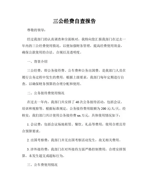 三公经费自查报告