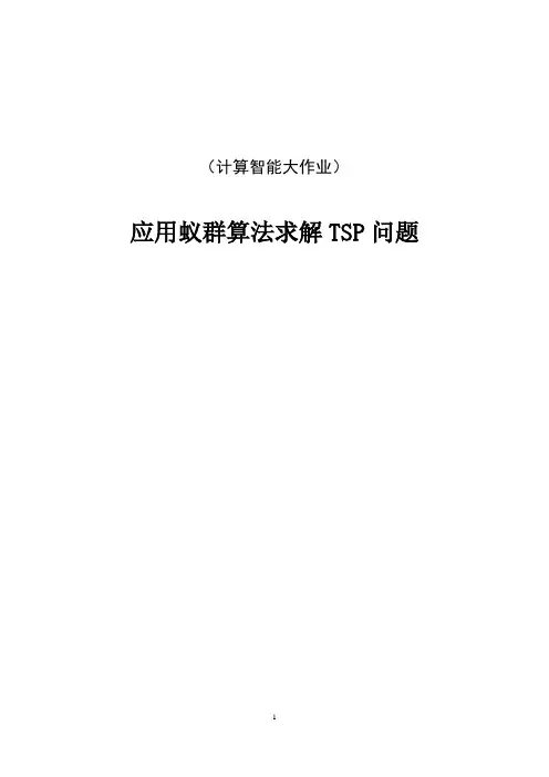 计算智能大作业--蚁群算法解决TSP问题资料