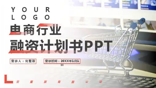 简约风电商行业融资计划书