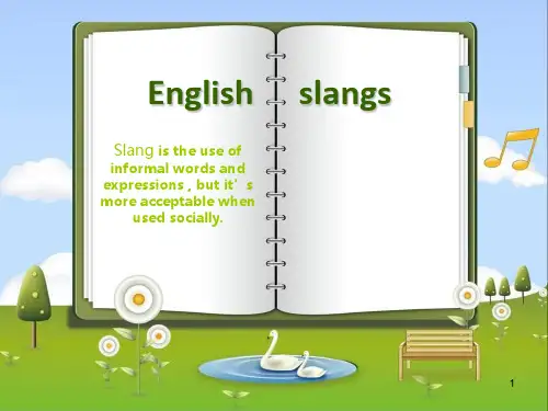英文中常见俚语(idiom)PPT课件