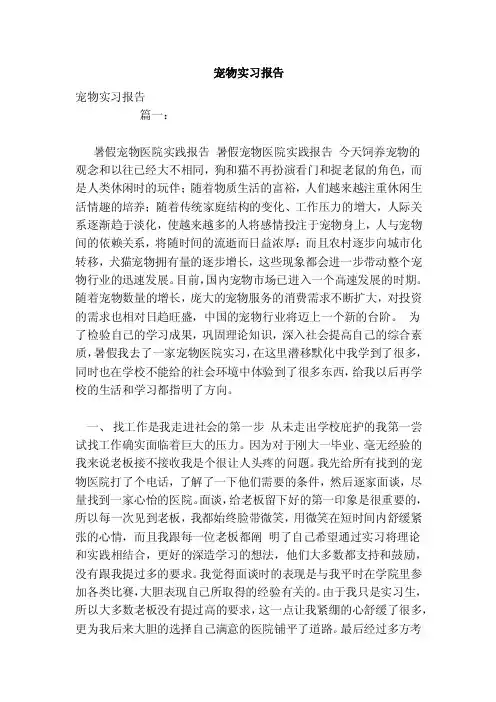宠物实习报告