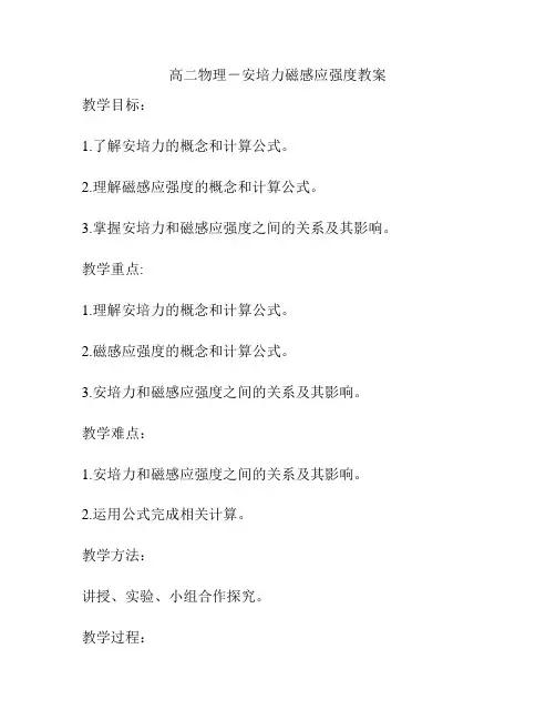 高二物理-安培力磁感应强度教案