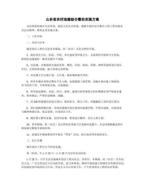 山东省农村违建综合整治实施方案
