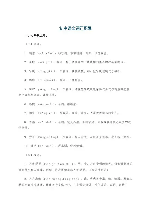 初中语文词汇积累