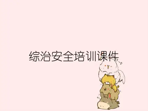 综治安全培训课件