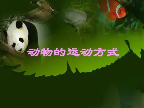 动物运动的方式