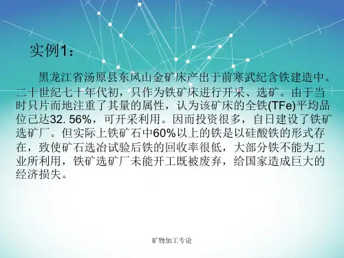元素赋存状态概念及赋存形式