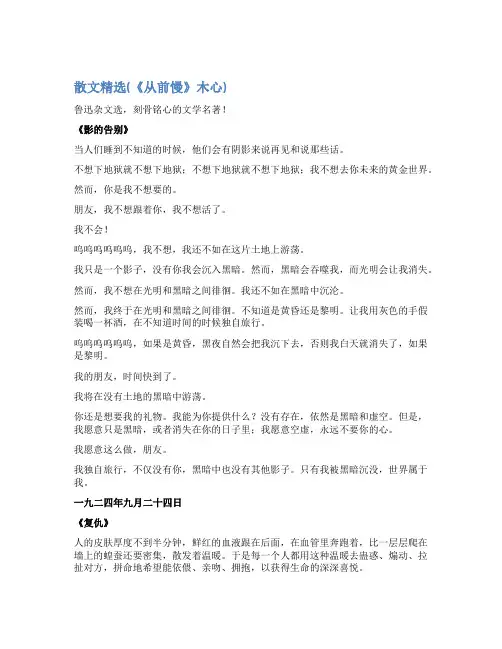 散文精选(《从前慢》木心)