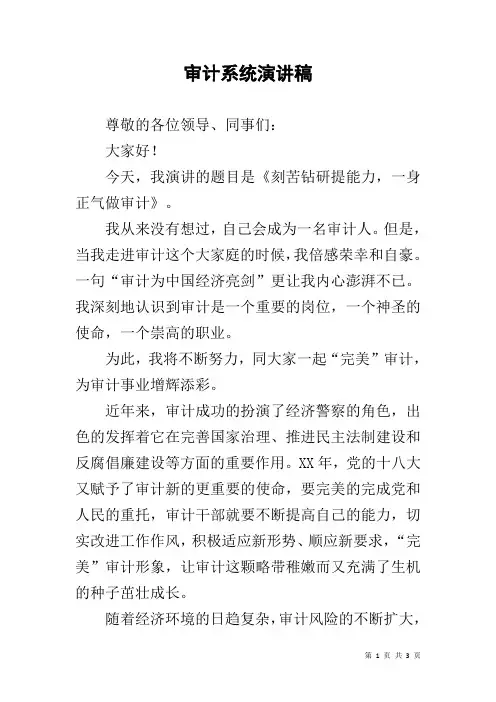 审计系统演讲稿