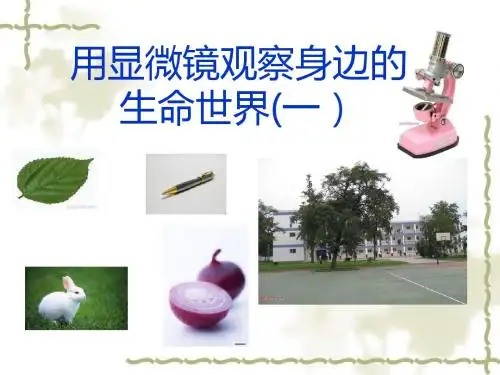 用显微镜观察身边的生命世界(一)
