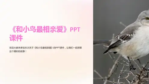 《和小鸟最相亲爱》课件