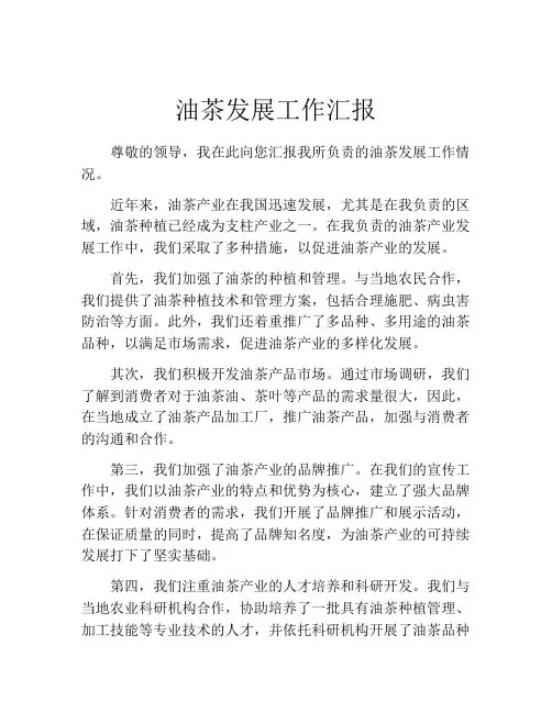 油茶发展工作汇报