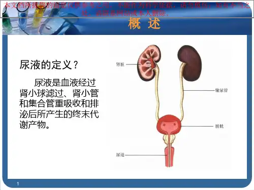 尿液检查主题知识宣教培训课件