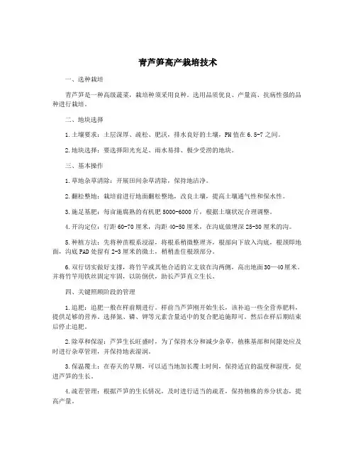 青芦笋高产栽培技术