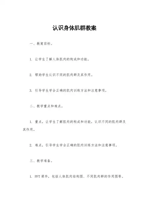 认识身体肌群教案