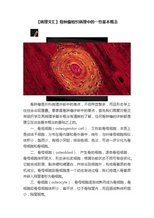【病理文汇】骨肿瘤组织病理中的一些基本概念
