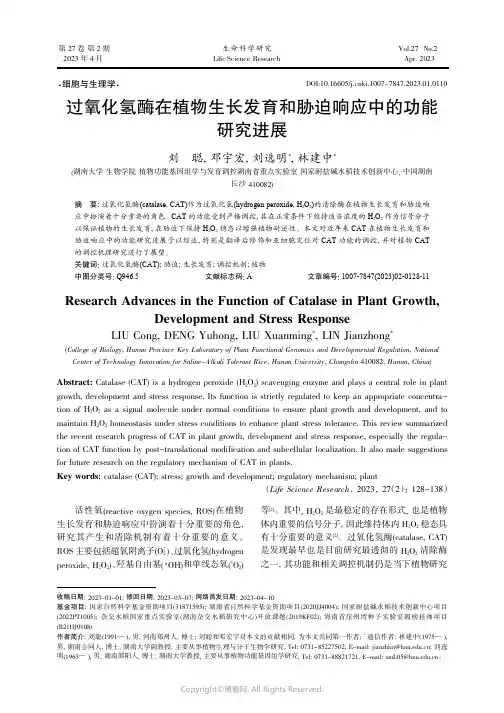 过氧化氢酶在植物生长发育和胁迫响应中的功能研究进展