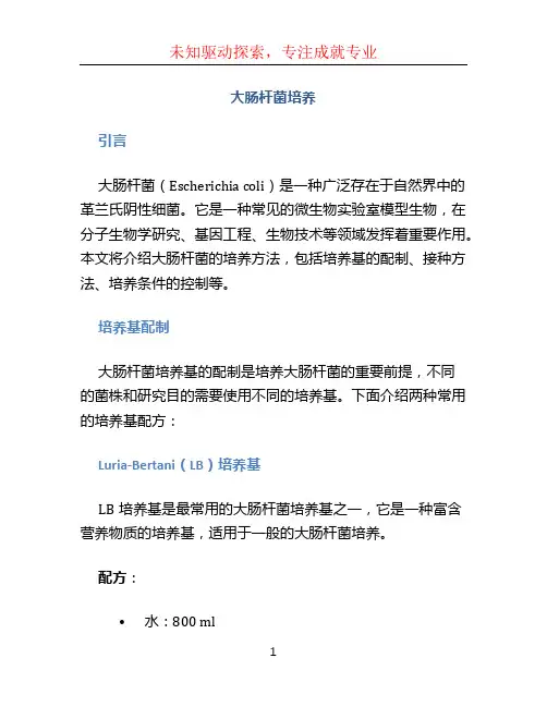 大肠杆菌培养
