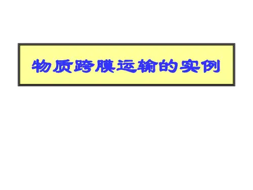 人教版生物必修一物质跨膜运输实例