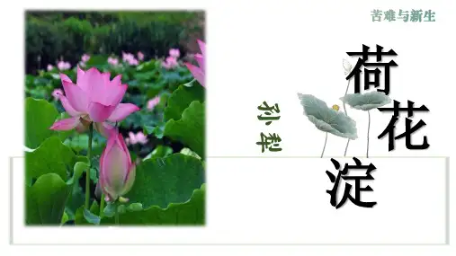 《荷花淀》PPT教学课件