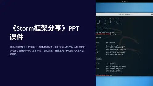 《Storm框架分享》课件